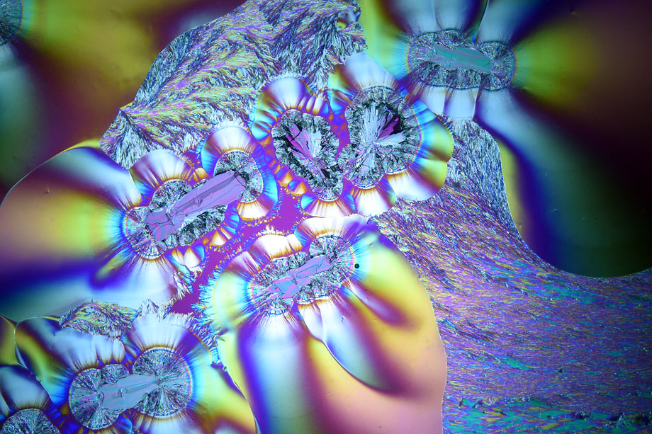 Ascorbic Acid crystals in crossed polarizers with Diaphot TMD and DIC condenser.